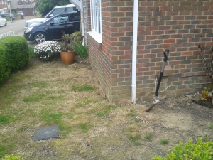 Part of the front garden before we went on holiday to Florida at the beginning of July