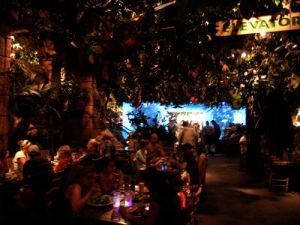 The Rainforest Cafe
