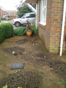 The front garden shortly after my return from Wales with a load of well rotted horse muck ready to be dug in